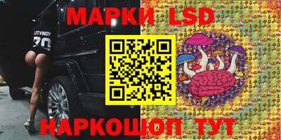 гашик Кулебаки