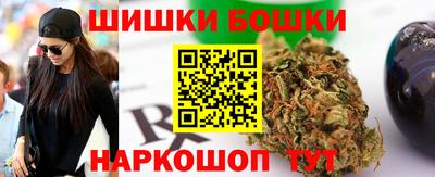 гашик Кулебаки