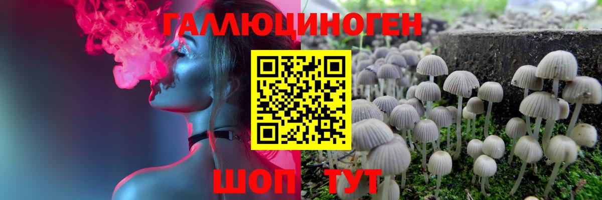 Псилоцибиновые грибы мицелий Жигулёвск